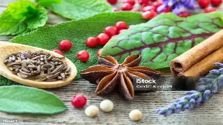 对话养生大师李教授：青岛按摩行业，规范化才是王道！